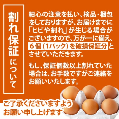 秋田比内地鶏たまご48個(42個+6個割れ保証)