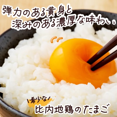 秋田比内地鶏たまご48個(42個+6個割れ保証)