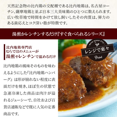 比内地鶏煮込みソースハンバーグセット