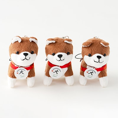 ハチ公ストラップ3個セット
