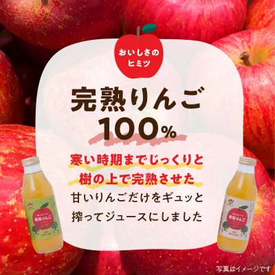 寒熟りんごジュースセット