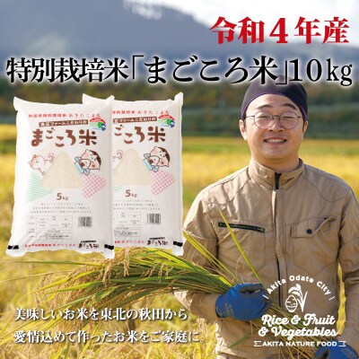【令和4年産】秋田県特別栽培米あきたこまち「まごころ米」10kg | ふるさと納税のお礼品