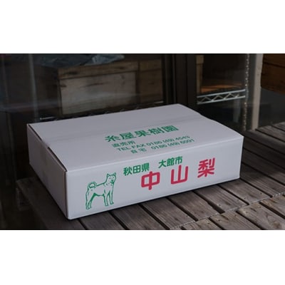 【数量限定・予約受付】糸屋さんちの「中山なし」5kg