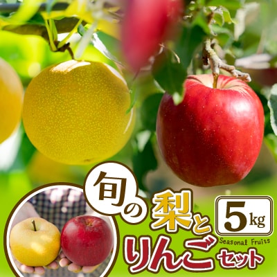 【先行予約】期間・数量限定【陽気な母さんの店】R8年産「旬の梨とりんご詰合」(5kg)