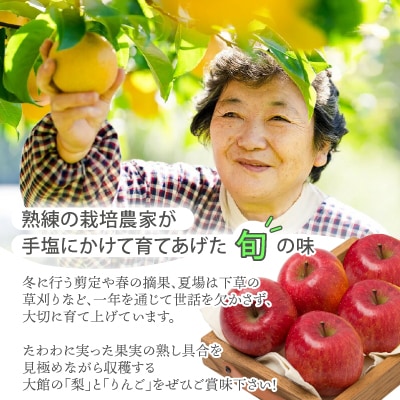 【先行予約】期間・数量限定【陽気な母さんの店】R8年産「旬の梨とりんご詰合」(5kg)