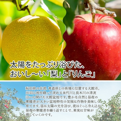 【先行予約】期間・数量限定【陽気な母さんの店】R8年産「旬の梨とりんご詰合」(5kg)