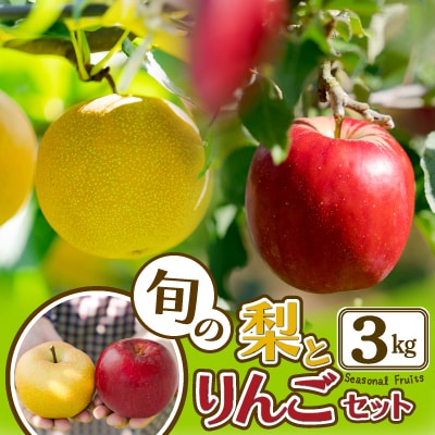 期間・数量限定【陽気な母さんの店】R7年産「旬の梨とりんご詰合」(3kg)