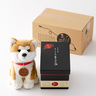 本場大館きりたんぽ玉手箱(2人前)と秋田犬マサルぬいぐるみ(座りM)　
