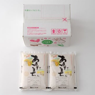 【新米先行受付】令和7年産ホタルが舞う清らかな環境で育った「あきたこまち」4kg(2kg×2袋)