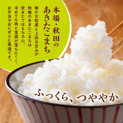 【令和8年産】ホタルが舞う清らかな環境で育ったあきたこまち5kg【ふるさと納税3.0】