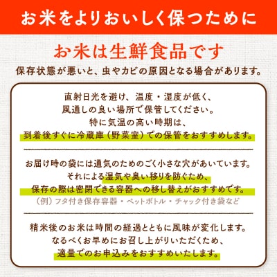 【令和8年産】ホタルが舞う清らかな環境で育ったあきたこまち5kg【ふるさと納税3.0】