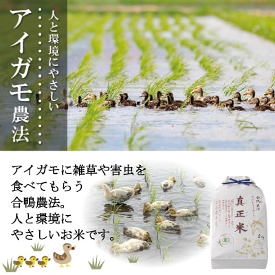 【令和7年産】有機JAS認証米あきたこまち「真正米」5kg