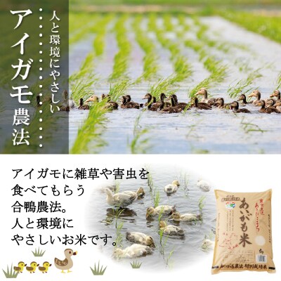 訳あり【令和7年産】秋田県特別栽培米あきたこまち「あいがも米」5kg