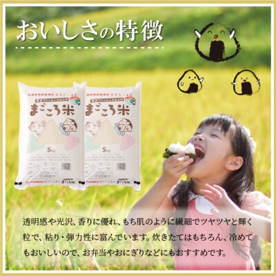 訳あり【令和7年産】秋田県特別栽培米あきたこまち「まごころ米」10kg