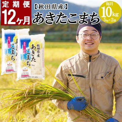 【定期便12ヶ月】秋田県産あきたこまち　10kg