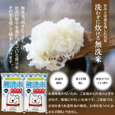 訳あり【定期便3ヶ月】令和7年秋田県産あきたこまち(無洗米)　10kg