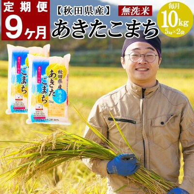 【定期便9ヶ月】秋田県産あきたこまち(無洗米)　10kg