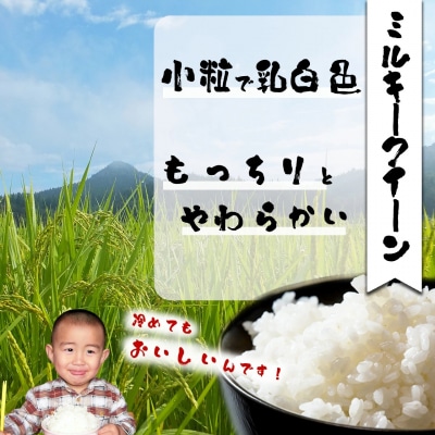 【令和7年産】ファームとのせ「ミルキークイーン精米5kg(5kg×1袋)」