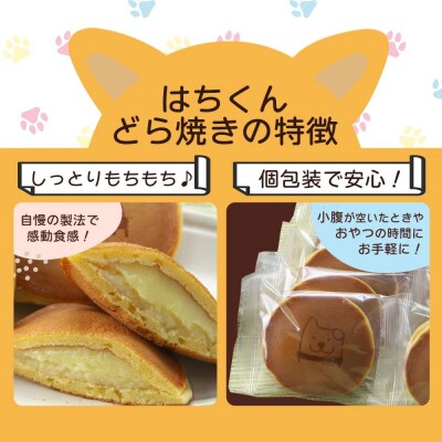 冷凍しっとりどら焼きはちくん(カスタード)10個入り×2パック
