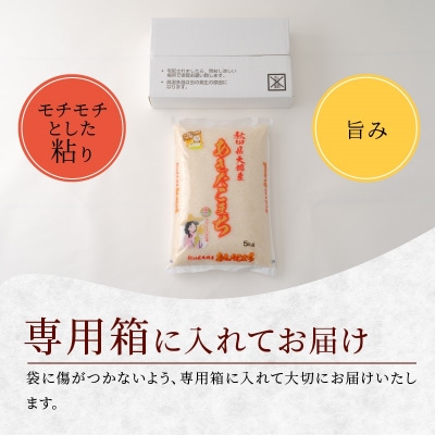 【令和6年産】秋田県大館産あきたこまち　5kg