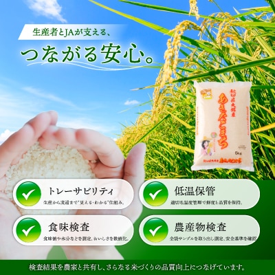 【令和7年産】秋田県大館産あきたこまち　5kg