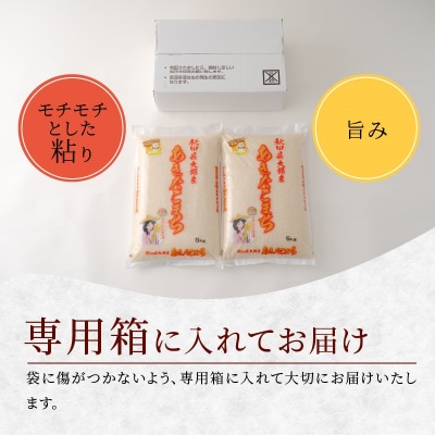 【令和6年産】秋田県大館産あきたこまち　10kg(5kg×2)