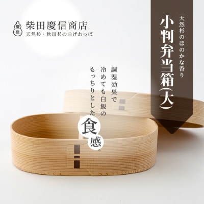 【大館曲げわっぱ】白木 小判弁当箱(大)
