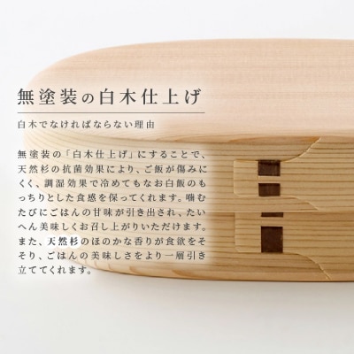 【大館曲げわっぱ】白木 小判弁当箱(中)