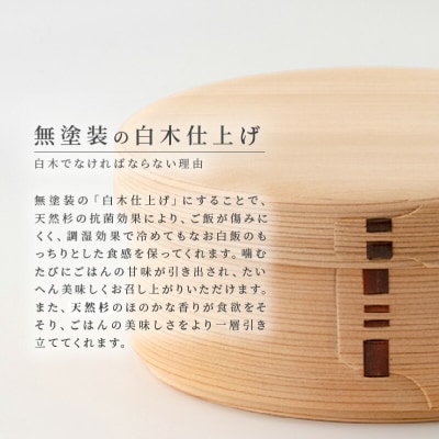【大館曲げわっぱ】白木 丸弁当箱(五寸)※T字型仕切付き