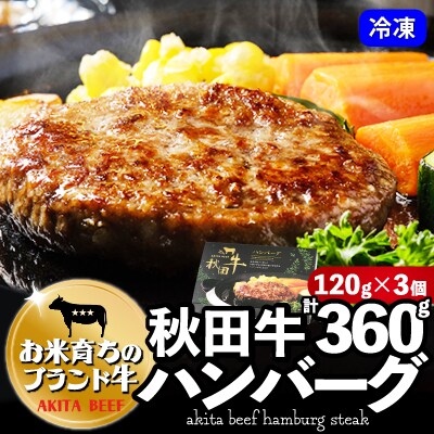 秋田牛ハンバーグ120g×3個セット