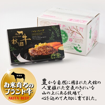 秋田牛ハンバーグ120g×3個セット
