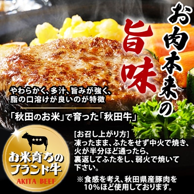 秋田牛ハンバーグ720g(120g×3個入2セット)