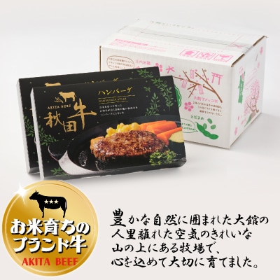 秋田牛ハンバーグ720g(120g×3個入2セット)