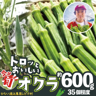 トロッとおいしいオクラ<約600g>