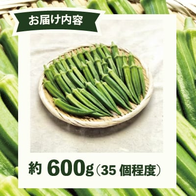 トロッとおいしいオクラ<約600g>