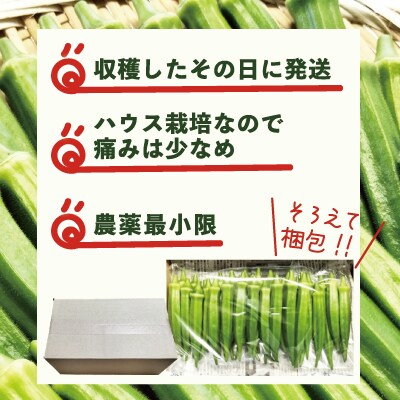 トロッとおいしいオクラ<約600g>