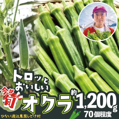 トロッとおいしいオクラ<約1200g>