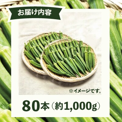 トロッとおいしいオクラ＜80本、約1000g＞