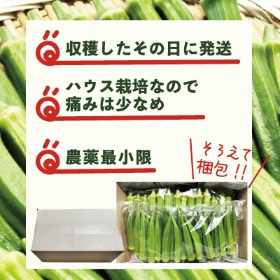 トロッとおいしいオクラ<約1200g>