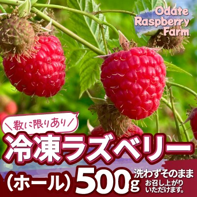 冷凍ラズベリー(ホール)500g