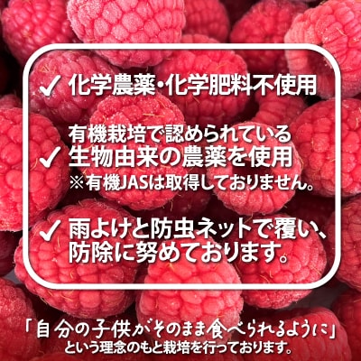 冷凍ラズベリー(ホール)500g