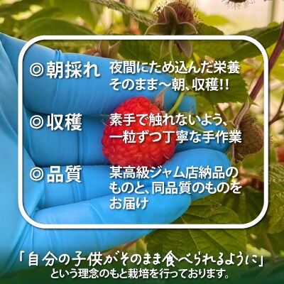 冷凍ラズベリー(ホール)500g