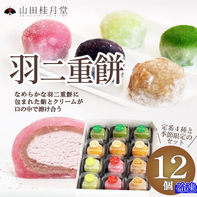 羽二重餅12個入