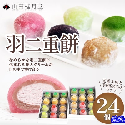 羽二重餅24個入
