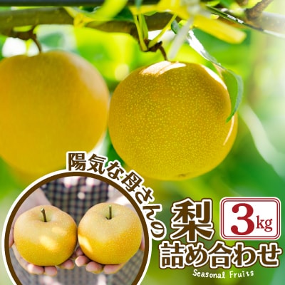 期間・数量限定【陽気な母さんの店】R7年産「梨詰合」(3kg)