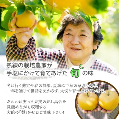 期間・数量限定【陽気な母さんの店】R7年産「梨詰合」(3kg)