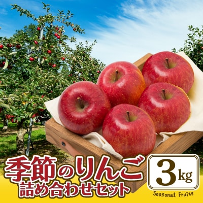 期間・数量限定【陽気な母さんの店】R7年産「季節のりんご詰合」(3kg)