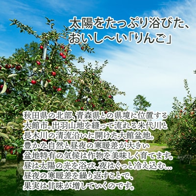 期間・数量限定【陽気な母さんの店】R7年産「季節のりんご詰合」(3kg)