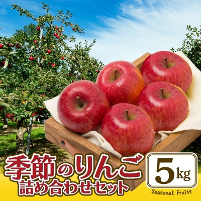 期間・数量限定【陽気な母さんの店】R7年産「季節のりんご詰合」(5kg)