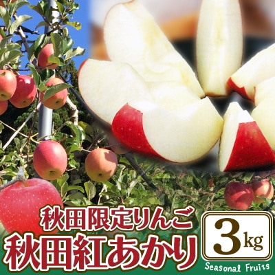 期間・数量限定【陽気な母さんの店】R7年産「秋田紅あかり」(3kg)